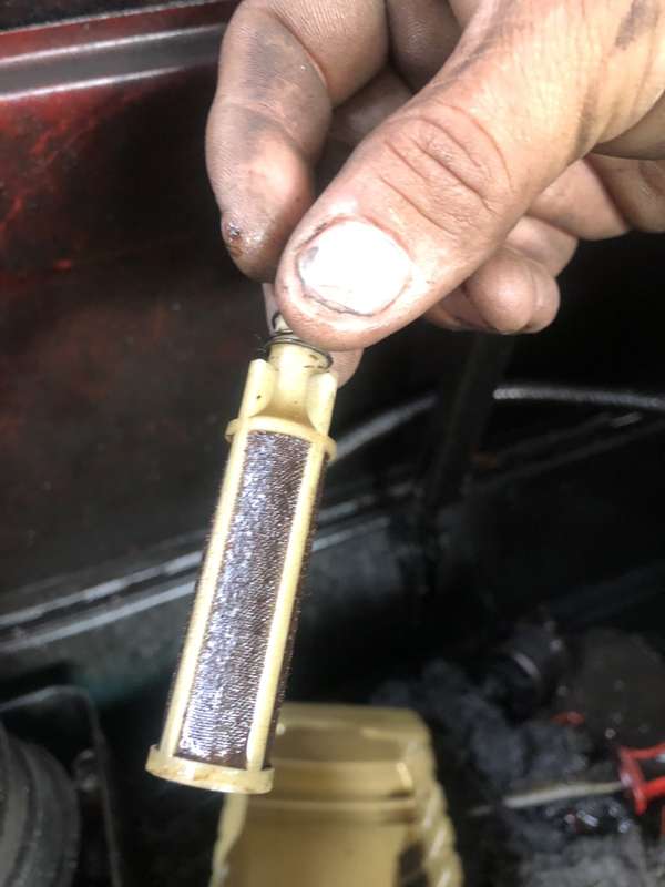 Μύκητες σε προφίλτρο Πετρελαίου Γεραλής Service Φορτηγών, Ευθυγράμμιση, Ζυγοστάθμιση, Service Φορτηγών, Service Αυτοκινήτων, Κινητό Συνεργείο, Διαγνωστικός Έλεγχος , Έλεγχος ΚΤΕΟ, Διαγνωστικός Έλεγχος Φορτηγών, Διαγνωστικός Έλεγχος Αυτοκινήτων, Φρένα Φορτηγών, Φρένα Αυτοκινήτων, Σασμάν / Δίσκο Πλατώ Φορτηγών