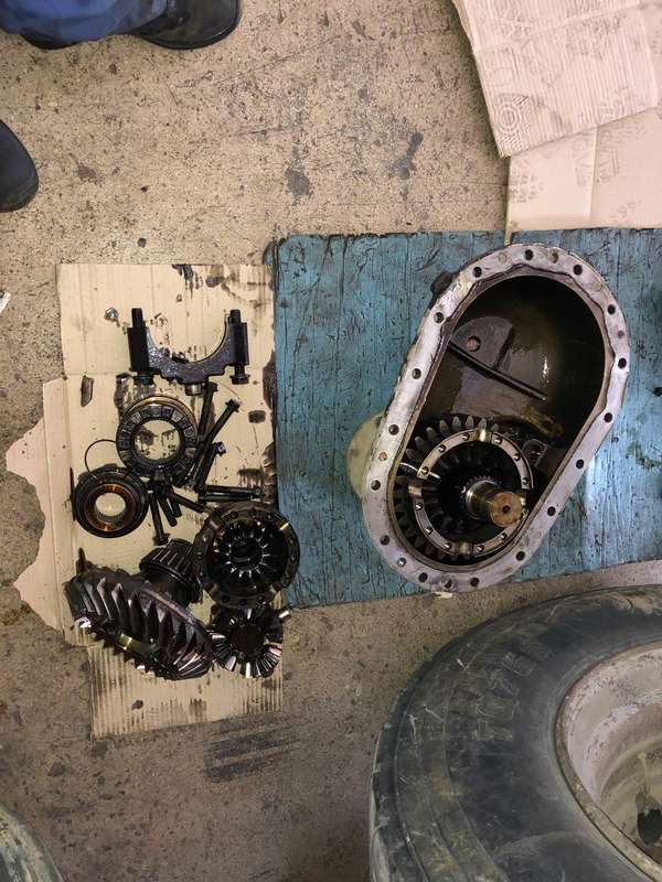 Επισκευή Διαφορικό Γεραλής Service Φορτηγών, Ευθυγράμμιση, Ζυγοστάθμιση, Service Φορτηγών, Service Αυτοκινήτων, Κινητό Συνεργείο, Διαγνωστικός Έλεγχος , Έλεγχος ΚΤΕΟ, Διαγνωστικός Έλεγχος Φορτηγών, Διαγνωστικός Έλεγχος Αυτοκινήτων, Φρένα Φορτηγών, Φρένα Αυτοκινήτων, Σασμάν / Δίσκο Πλατώ Φορτηγών