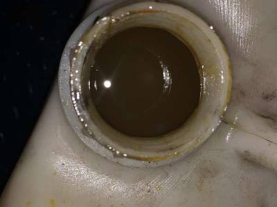 Μύκητας σε πετρέλαιο Γεραλής Service Φορτηγών, Ευθυγράμμιση, Ζυγοστάθμιση, Service Φορτηγών, Service Αυτοκινήτων, Κινητό Συνεργείο, Διαγνωστικός Έλεγχος , Έλεγχος ΚΤΕΟ, Διαγνωστικός Έλεγχος Φορτηγών, Διαγνωστικός Έλεγχος Αυτοκινήτων, Φρένα Φορτηγών, Φρένα Αυτοκινήτων, Σασμάν / Δίσκο Πλατώ Φορτηγών